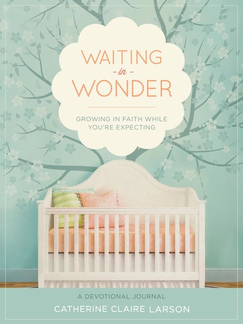 Waiting in Wonder - Catherine Claire Larson