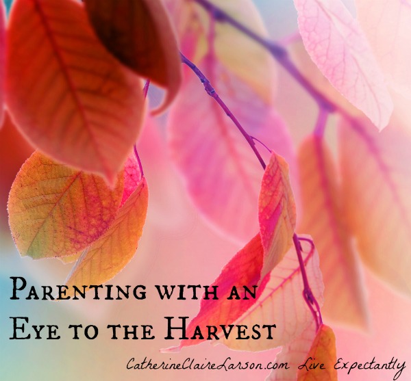 Parenting with an Eye to the Harvest